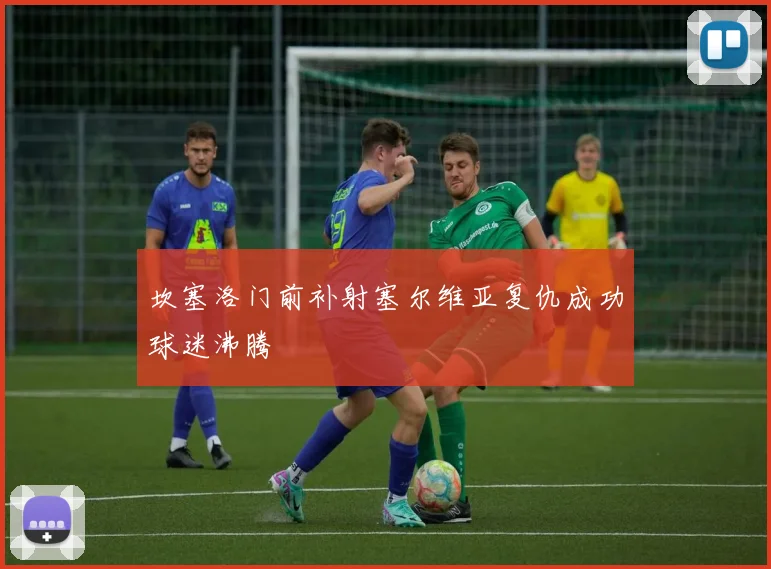 坎塞洛门前补射塞尔维亚复仇成功球迷沸腾