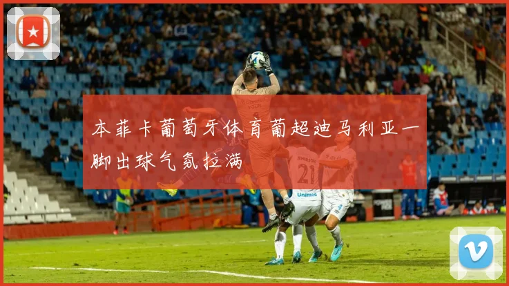 本菲卡葡萄牙体育葡超迪马利亚一脚出球气氛拉满