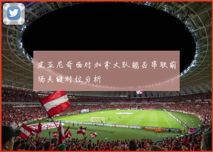 皮亚尼奇面对加拿大队能否串联前场关键对位分析
