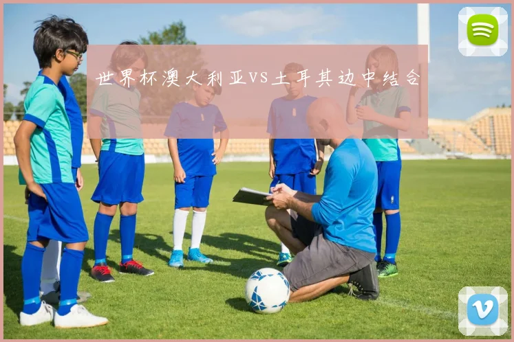 世界杯澳大利亚vs土耳其边中结合