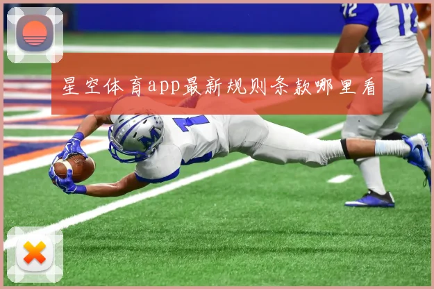 星空体育app最新规则条款哪里看