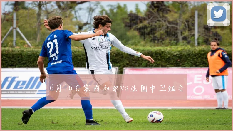 6月16日塞内加尔vs法国中卫组合