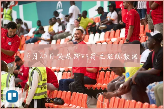 6月25日突尼斯vs荷兰犯规数据